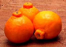 Fruta com D